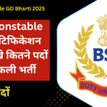 BSF Constable GD Bharti 2025